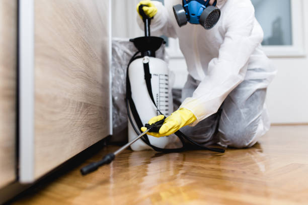Pest Control Cost in Urbancrest, OH