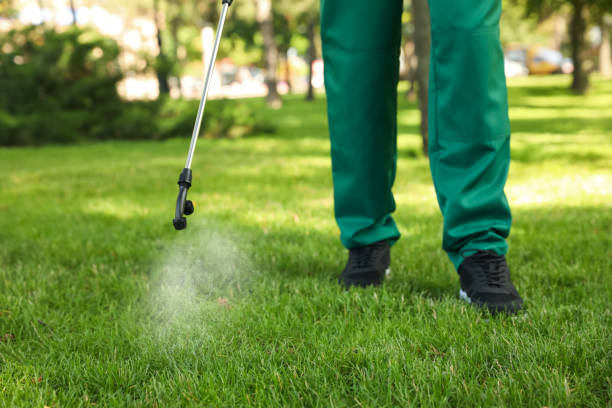 Best Local Pest Control Services  in Urbancrest, OH