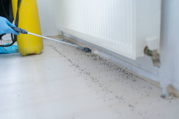  Urbancrest, OH Pest Control Pros